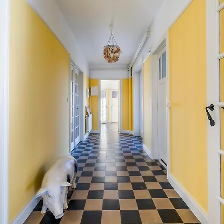 Karaktervolle Familie 12p - Ruim En Vlak Bij Villa Koksijde